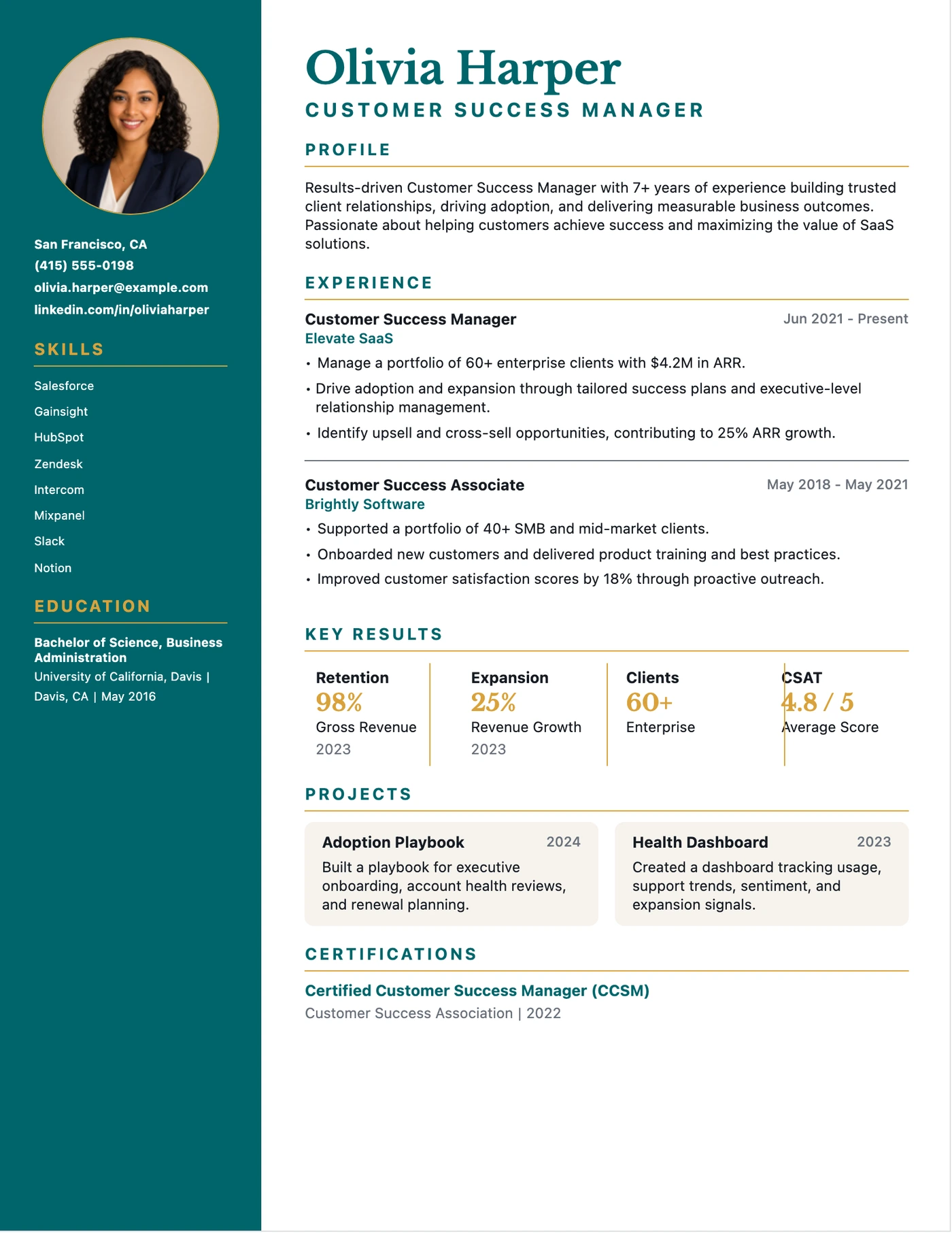 Customer Success Teal Photo Rail resume template preview