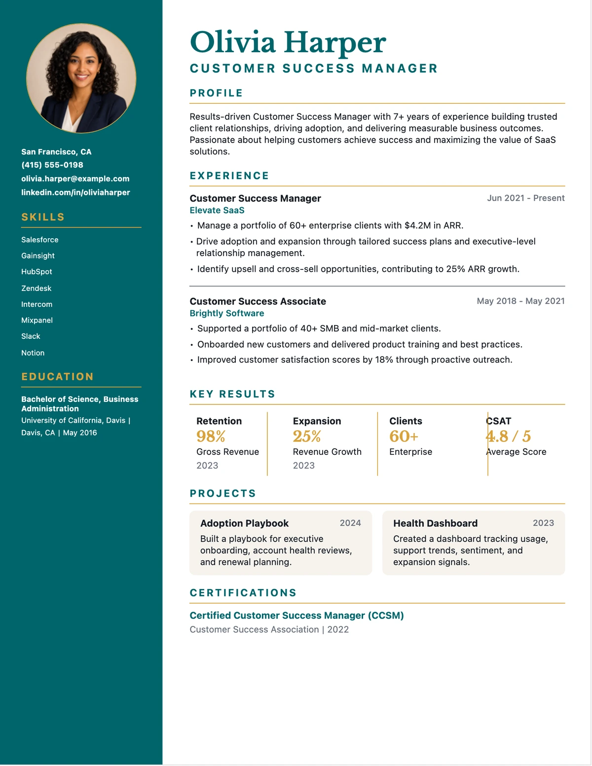 Customer Success Teal Photo Rail resume template preview